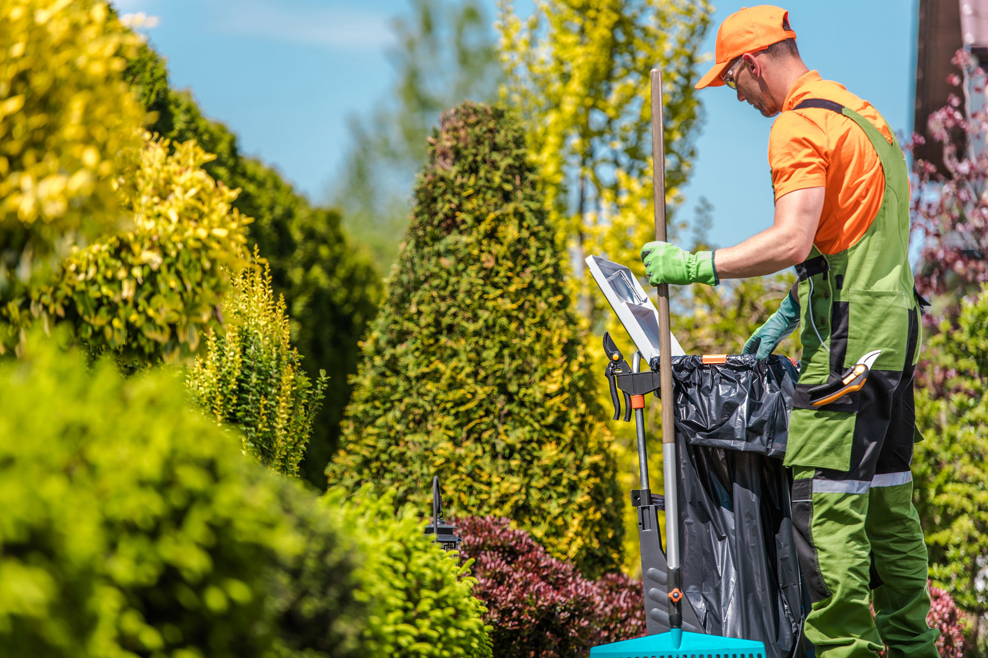 garden seasonal maintenance